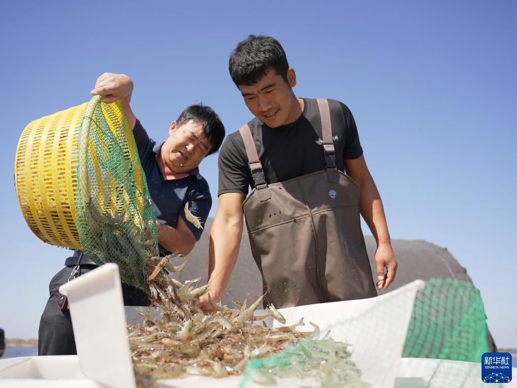 搜狗浏览器